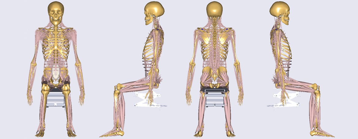 SolidWorks model of sitting device